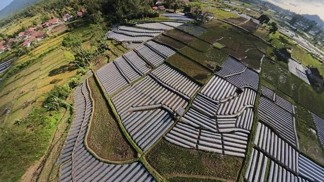 Fisheye aerial drone revealing patterned mulched terraces, rice paddies and village on volcanic slopes.