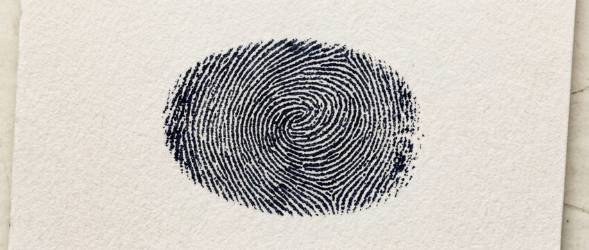 Unique Fingerprint Impression on Textured White Paper
