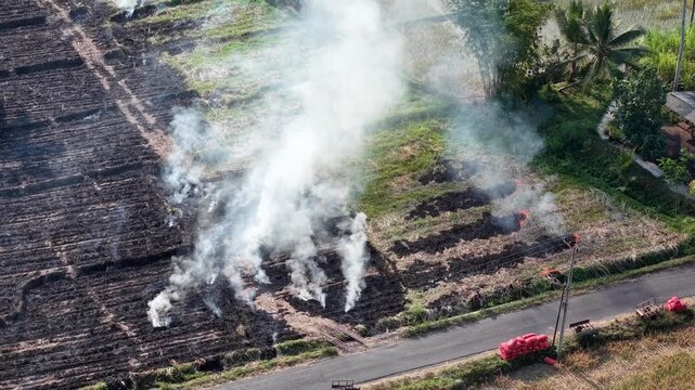 High altitude drone shows agricultural field burning with smoke plumes and charred soil near Candipuro.