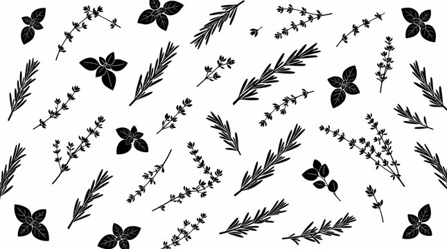 Minimalist black silhouette pattern with thyme arranged across plain white background