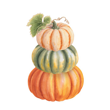 Stacked Pumpkins Watercolor Illustration, Autumn Poster