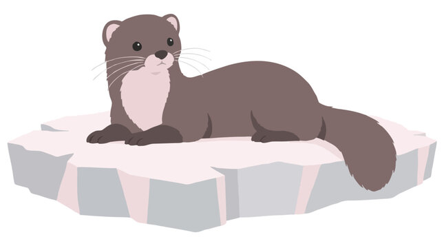 Adorable cartoon mink resting on a pastel ice floe in soft powder pink and dove gray, cute brown weasel-like animal lying calmly in flat vector illustration style on winter morning light