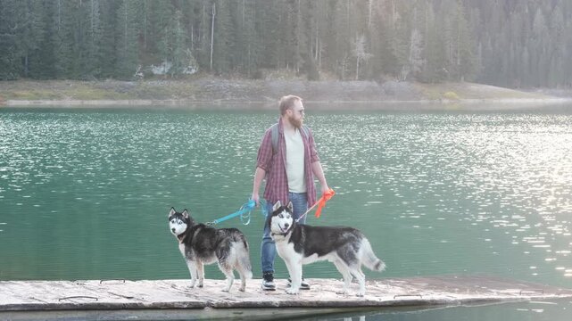 Bearded traveler with two siberian huskies on leashes stands on wooden pier at sparkling mountain lake. Concept of traveler with dogs on autumn trip, traveler scene for travel ads and blogs