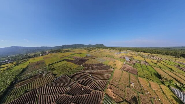 Drone fisheye panorama of terraced farmland near Semeru mountain under clear blue sky.