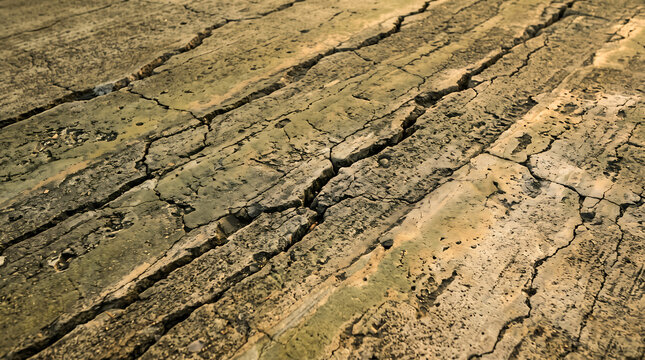 Close-up view of a weathered concrete surface with deep, parallel fissures and intricate cracks, featuring earthy brown, grey, and ochre tones in a textured, distressed pattern
