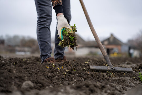 A gloved gardener holds an uprooted clump of weeds above freshly turned soil beside a garden hoe, with a house blurred in the background.
