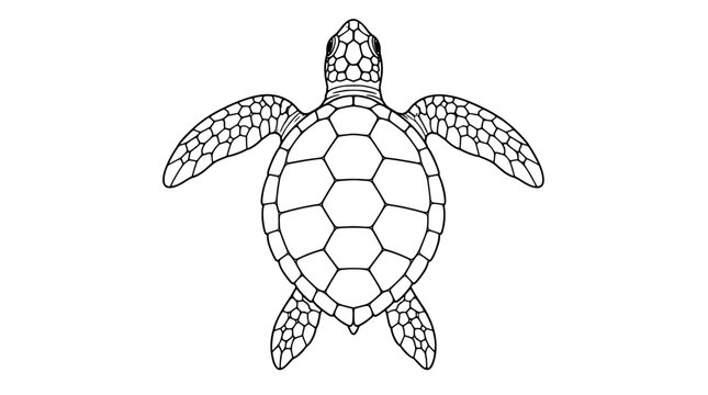 Line art illustration of a sea turtle viewed from above with patterned shell scutes and paddle flippers, rendered with thin outline lines emphasizing scale texture in a symmetric swimming posture