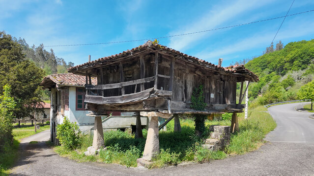  Traditional Asturian panera or horreo wooden stilt granary in countryside village, Asturias, Spain