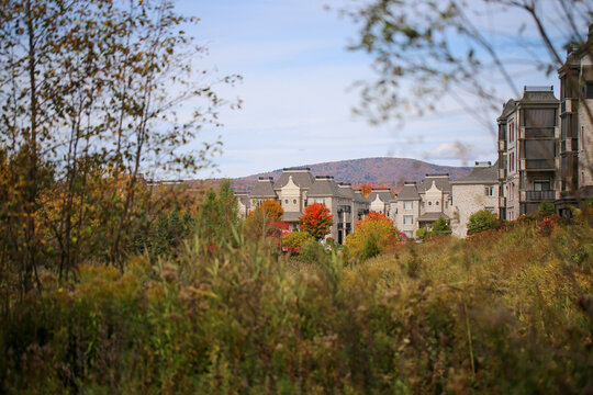 Vue automnale d'un quartier r&eacute;sidentiel de la ville de Qu&eacute;bec, au Canada. Paysage d'automne	