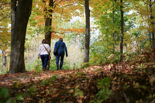balade entre amies dans le bois en automne