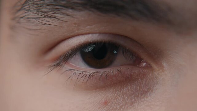 Close up of human eye with brown iris showing focus and natural beauty through detailed skin and eyelash texture