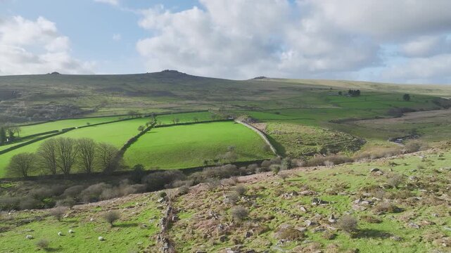 Farm in Dartmoor National Park, Merrivale, Devon, England, Eueope