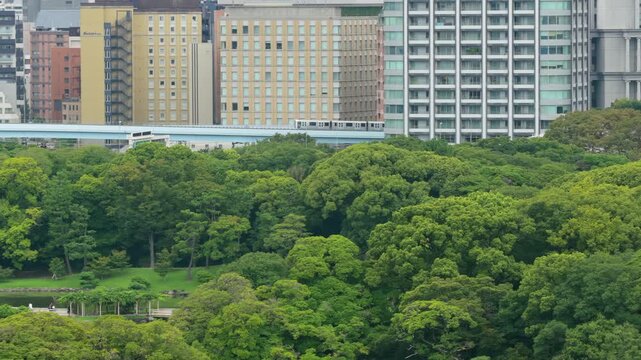 Elevated monorail train crosses above the lush Hama-rikyu Gardens, a serene urban park in Minato City, Tokyo, Japan, amidst modern buildings.