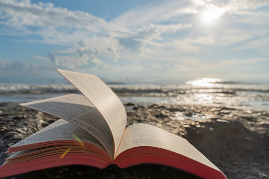 Open Bible Book with Fluttering Pages on Rocky Beach at Sunset
