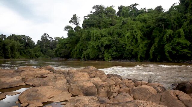 Wild river through the jungle, Cat Tien National Park, Vietnam