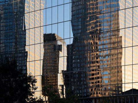 New York City, New York &ndash; October 3, 2026: Distorted reflections of skyscrapers in a gridded glass curtain wall at the World Trade Center, Lower Manhattan, with a tree silhouetted at lower left.
