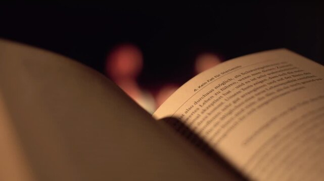 Gem&uuml;tlich vor dem Kamin ein Buch lesen - Freizeit, Hobby und Bildung