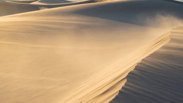 Sand dunes in desert during wind blowing sand along ridge in warm golden sunset light. Changing weather and tourism concept.