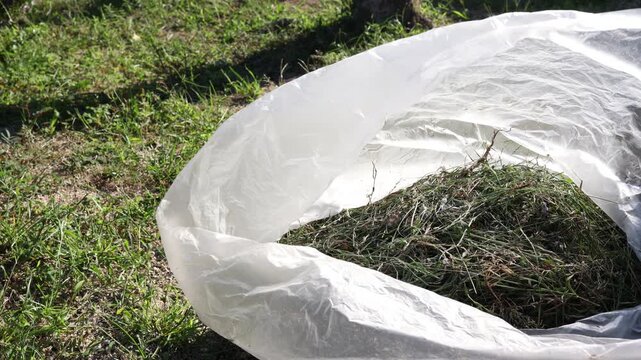 庭の草むしりで集めた雑草入りゴミ袋。屋外の作業後。