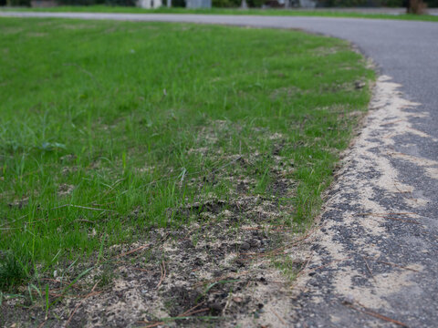 Hydroseeding method for public works infrastructure and roadside erosion repair