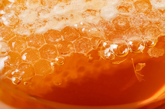 Detailed macro view of natural honeycomb texture submerged in pure golden honey with air bubbles. Perfect for organic food, healthy lifestyle, and nature-themed backgrounds.