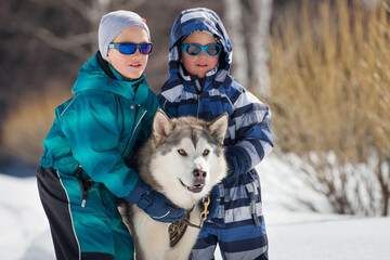 Two children with a Siberian husky in a snowy winter landscape © Viacheslav Zhukov
