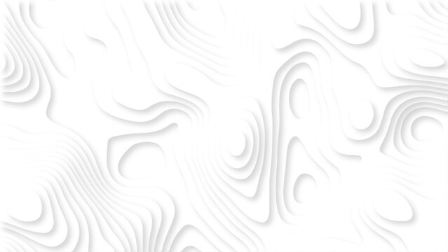 Minimal White Topographic Contour Background with Soft Gray Lines, Abstract Organic Shapes and Elegant 3D Relief Texture. White Abstract Topographic Map Background with Subtle Gray Contour Lines.