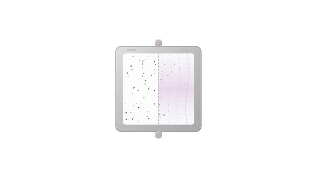 Microscale Dialysis Cassette Biophysics Vector Animation with Salt Ion Diffusion