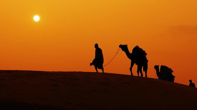 Camel caravan silhouettes walking on sand dunes in thar desert during orange sunset in Jaisalmer, Rajasthan, India.