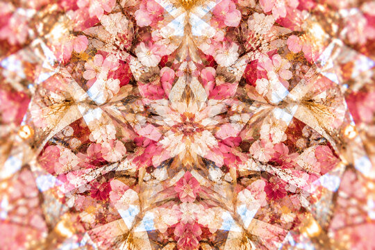 Japanese inspired cherry blossom kaleidoscope pattern in pink and gold