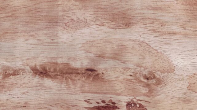 Stop Motion Animation of Plywood Wood Texture