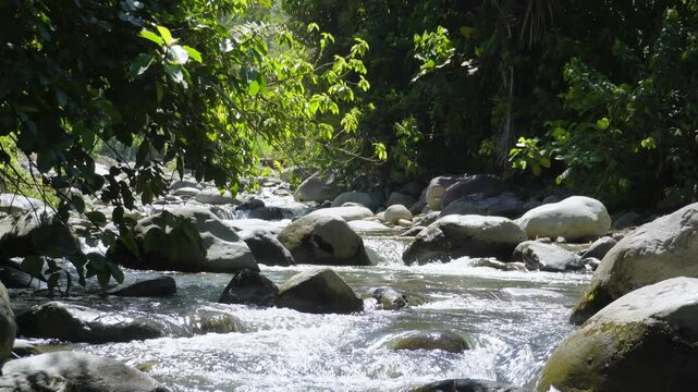 Shaded Rocky Stream in Tropical Forest