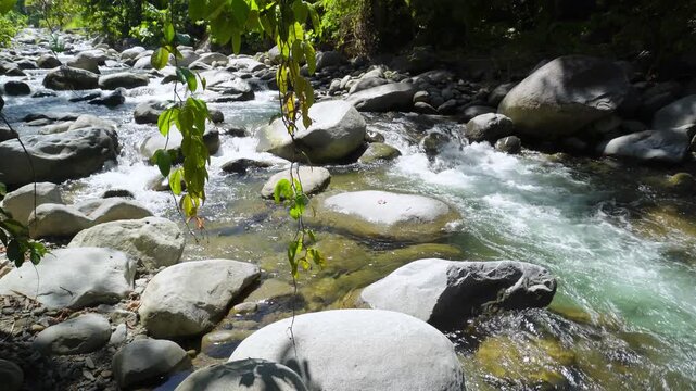 heaven look Stream in Tropical Forest
