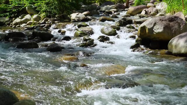 Fast Flowing Rocky River Rapids