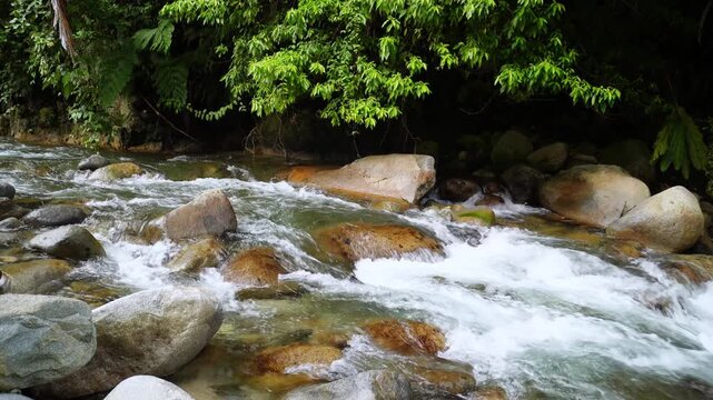 Crystal Clear River Flowing Over Rocks
