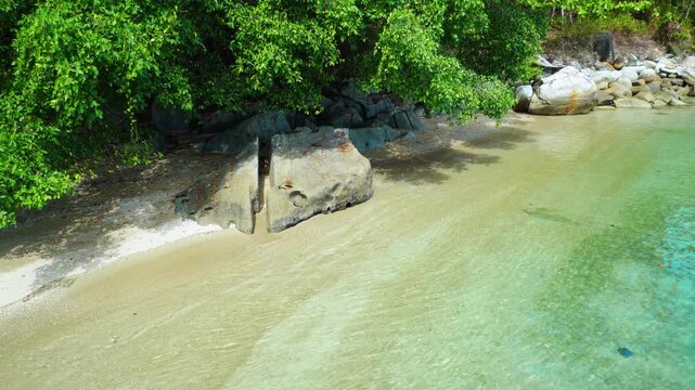 Quiet Sandy Cove with Tropical Forest
