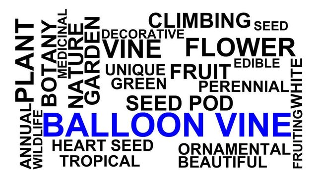 Balloon Vine Word Cloud