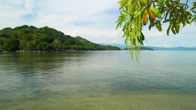 Calm Tropical Bay Surrounded by Green Hills