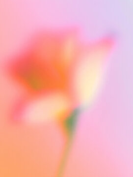 抽象的, ぼかし, フラワーアート, 花, 柔らかい色, パステルカラー, アート写真, 背景用, 穏やか, やさしい雰囲気, ドリーミー, ピンク, オレンジ, ライトブルー, 霞んだ, 美しい背景, ふんわり, 柔らかい, 植物, 自然, 風景, 静けさ, 癒し, ソフトフォーカス, スローフォト, 花びら, 春, 芸術的, エレガント, グラデーション, ロマンチック, クリーン, ミニマル