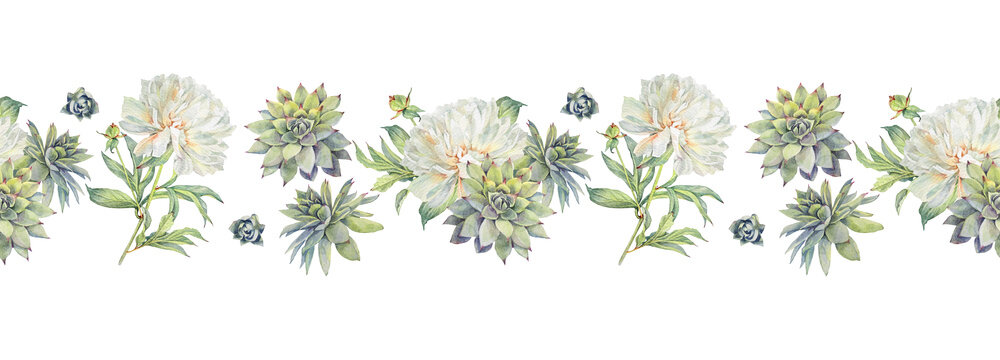 Watercolor seamless rim with bouquet green succulent echeveria and milky peony on white background. Botanical hand-drawn border for wedding or florist. Evergreen home flower wallpaper or wrapping