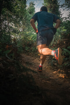 trail runner jogging uphill through mountain forest