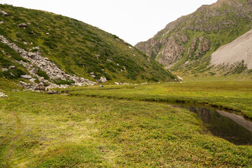Valley meadow with winding stream. Grassy slope meets rocky hillside. Clear sky above. Ideal for travel, nature, or environmental themes. Ak-Suu, Jyrgalan, Kyrgyzstan © Pauli