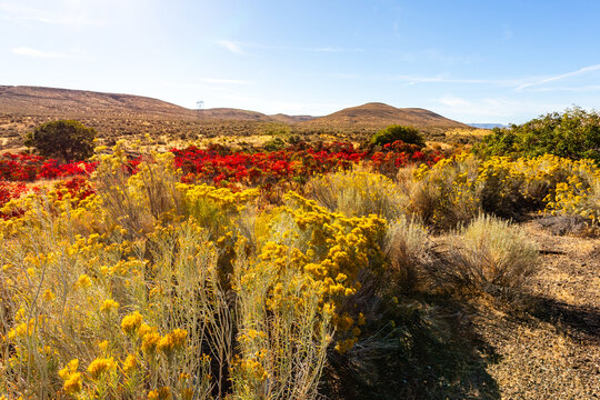 Washington State's desert landscapes in autumn colors
