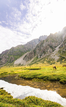 Lone horse grazes in a sunlit meadow near a reflective stream. Majestic rocky mountains rise steeply under a partly cloudy sky. Ak-Suu, Jyrgalan, Kyrgyzstan