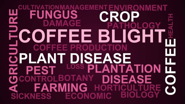 Coffee Blight Word Cloud