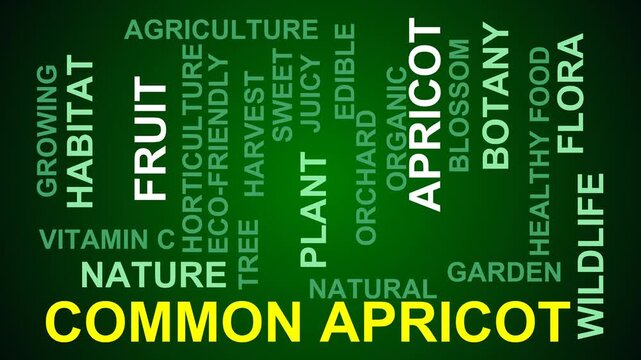 Common Apricot Word Cloud
