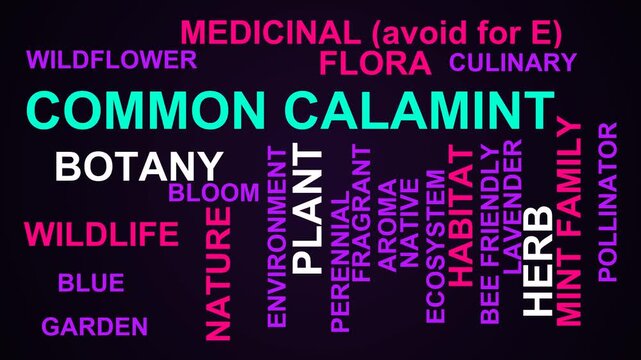Common Calamint Word Cloud