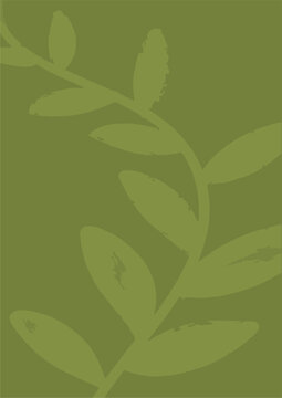 Green botanical leaf branch background vector illustration, perfect for organic nature banner, minimalist plant foliage texture, elegant aesthetic wallpaper, and natural cover design
