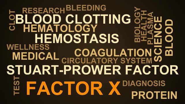 Factor X Word Cloud