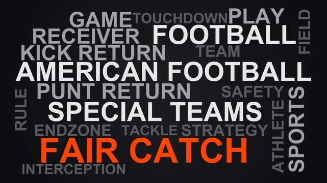 Fair Catch Word Cloud